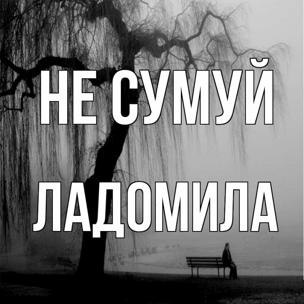 Открытка на каждый день з підписом, Ладомила Не сумуй висящие ветки дерева и лавочка под деревом Прикольна листівка з побажанням онлайн скачати безкоштовно 