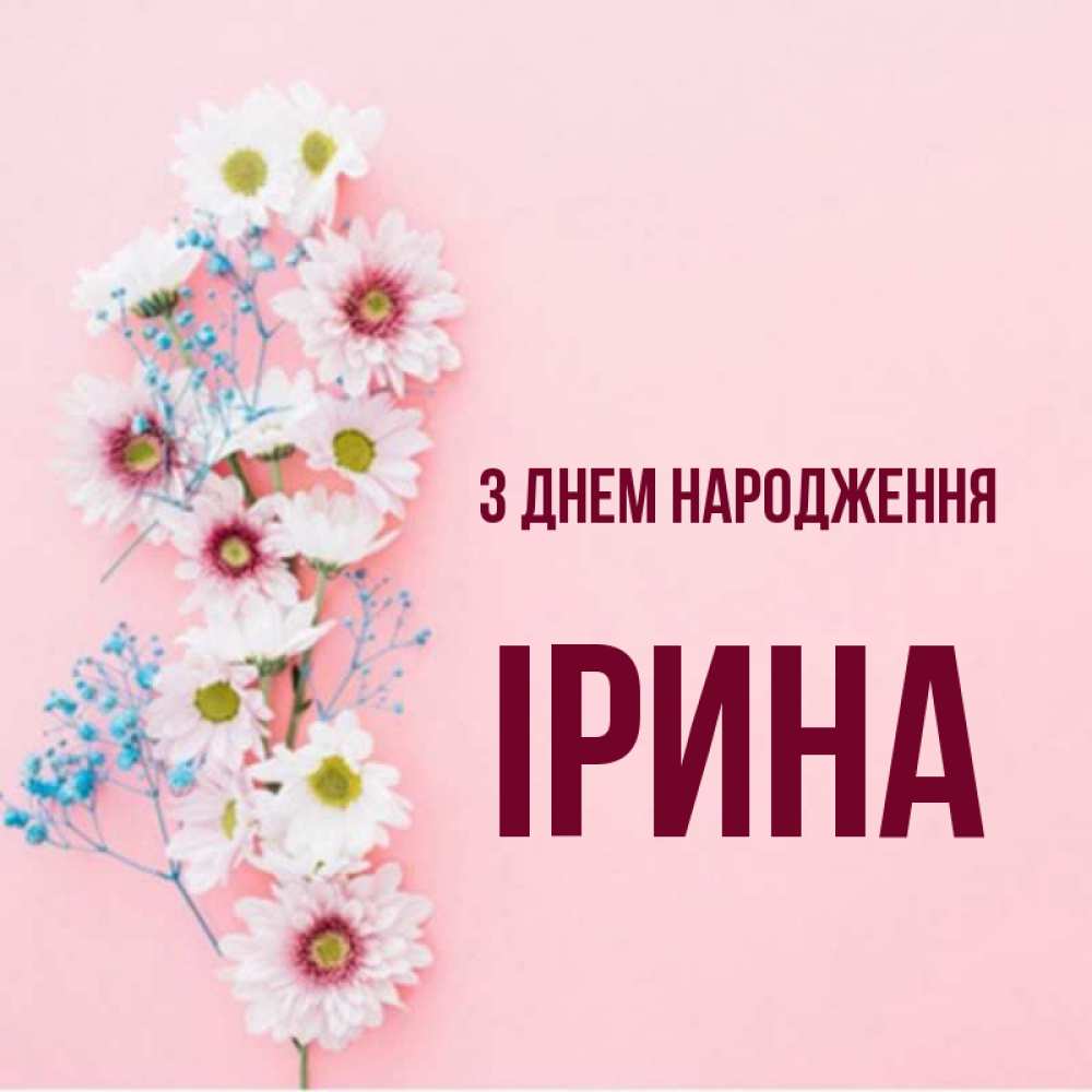 Открытка на каждый день з підписом, Ірина З Днем народження Родная моя с днем рождения тебя картинка с цветами белыми и голубыми Прикольна листівка з побажанням онлайн скачати безкоштовно 