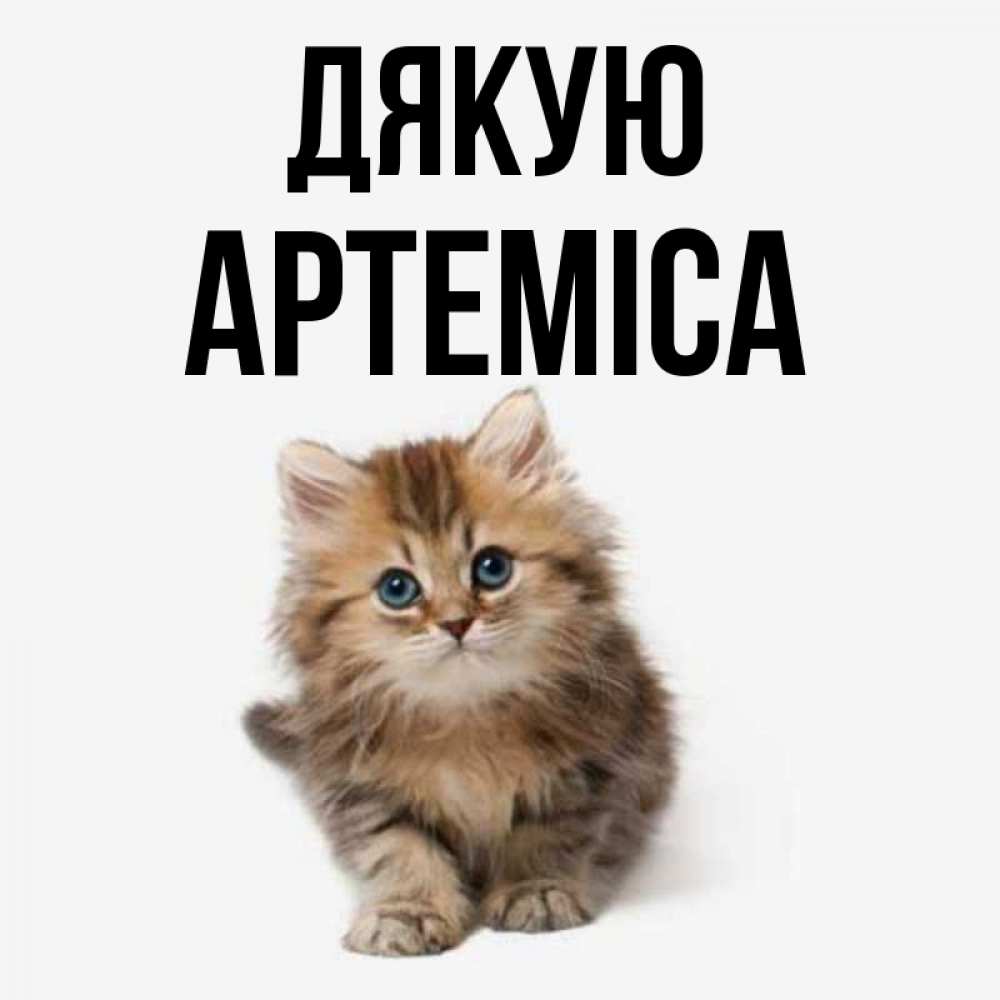Открытка на каждый день з підписом, Артеміса Дякую пушистый котик Прикольна листівка з побажанням онлайн скачати безкоштовно 