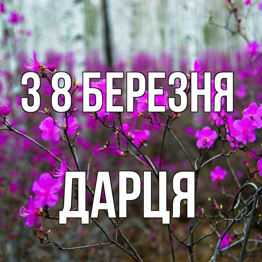 Открытка на каждый день з підписом, Дарця З 8 БЕРЕЗНЯ дикие цветы Прикольна листівка з побажанням онлайн скачати безкоштовно 