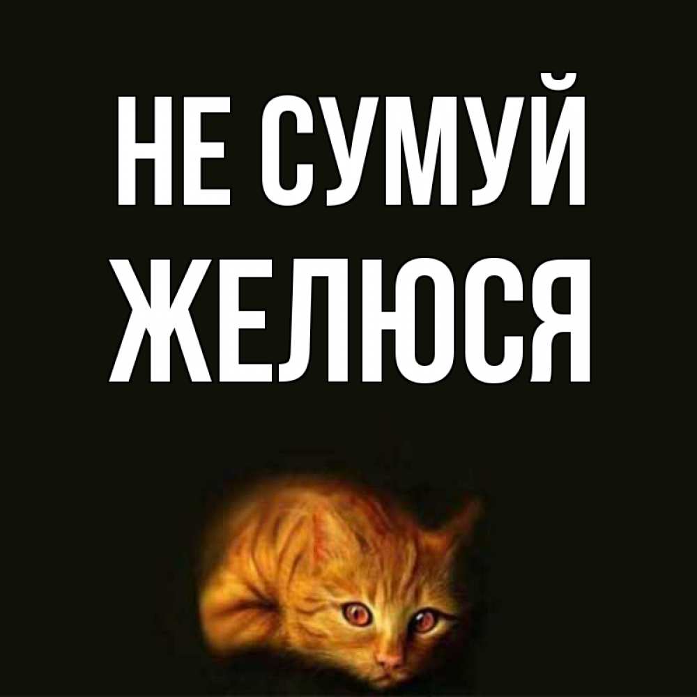 Открытка на каждый день з підписом, Желюся Не сумуй лежащий кот в темноте Прикольна листівка з побажанням онлайн скачати безкоштовно 