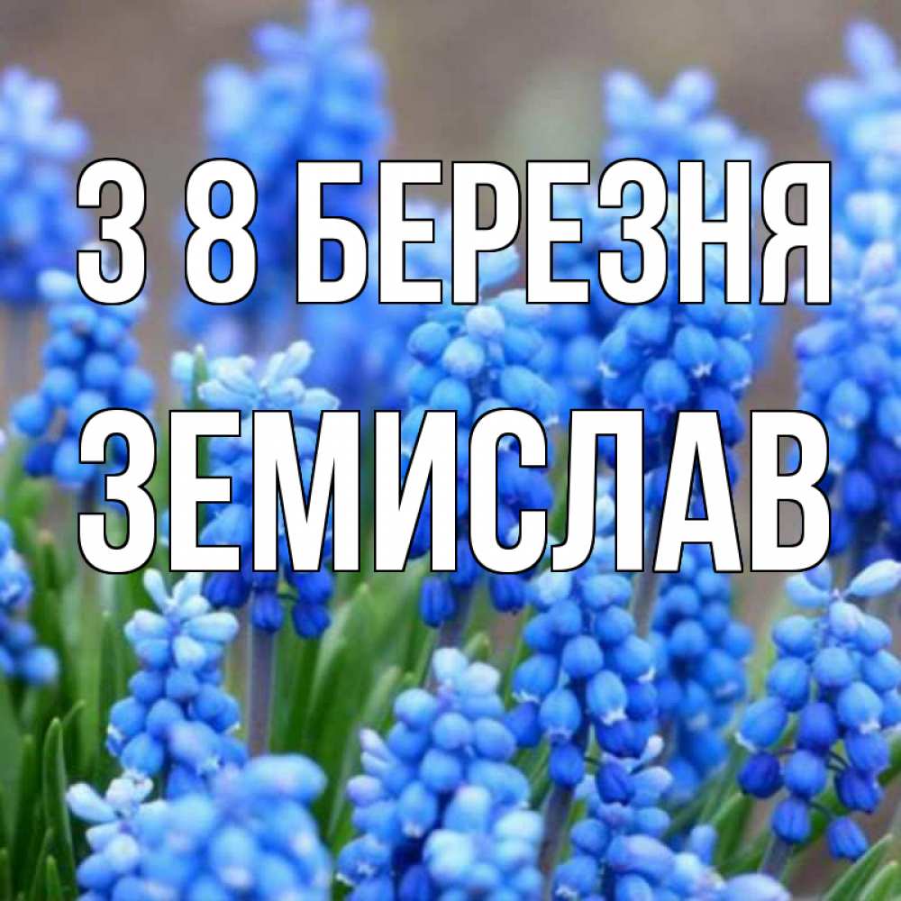 Открытка на каждый день з підписом, Земислав З 8 БЕРЕЗНЯ Поздравительная открытка для женщин с цветами на праздничную дату Прикольна листівка з побажанням онлайн скачати безкоштовно 