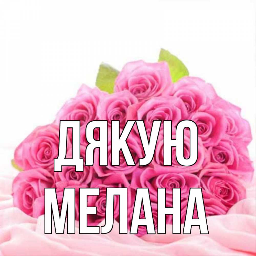 Открытка на каждый день з підписом, Мелана Дякую розовые розы с подписью Прикольна листівка з побажанням онлайн скачати безкоштовно 