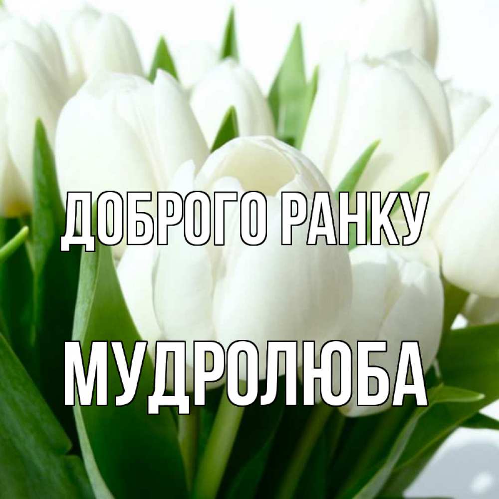 Открытка на каждый день з підписом, Мудролюба Доброго ранку открытки на каждый день по именам Прикольна листівка з побажанням онлайн скачати безкоштовно 