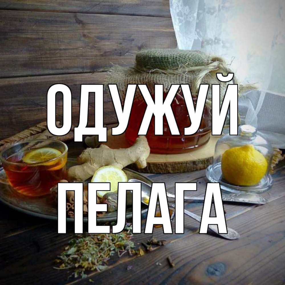 Открытка на каждый день з підписом, Пелага Одужуй банка с медом Прикольна листівка з побажанням онлайн скачати безкоштовно 
