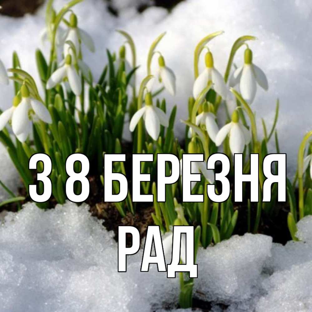 Открытка на каждый день з підписом, Рад З 8 БЕРЕЗНЯ цветы весенние Прикольна листівка з побажанням онлайн скачати безкоштовно 