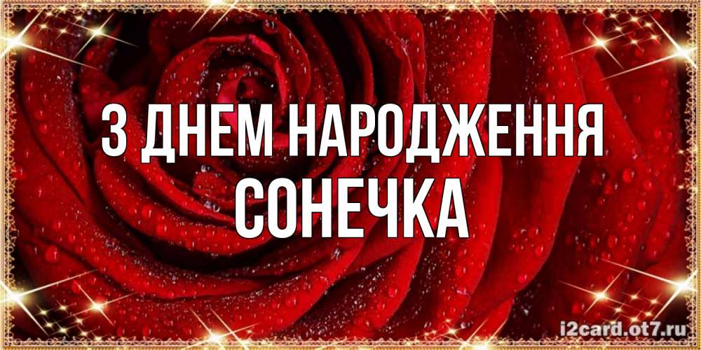 Открытка на каждый день з підписом, Сонечка З Днем народження роса на розе блестящая в лучах солнца Прикольна листівка з побажанням онлайн скачати безкоштовно 