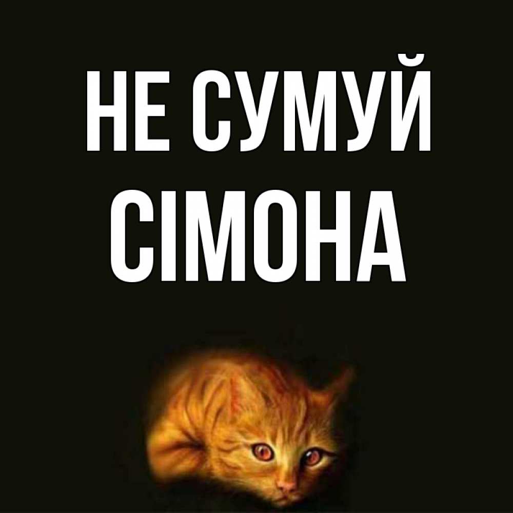 Открытка на каждый день з підписом, Сімона Не сумуй лежащий кот в темноте Прикольна листівка з побажанням онлайн скачати безкоштовно 