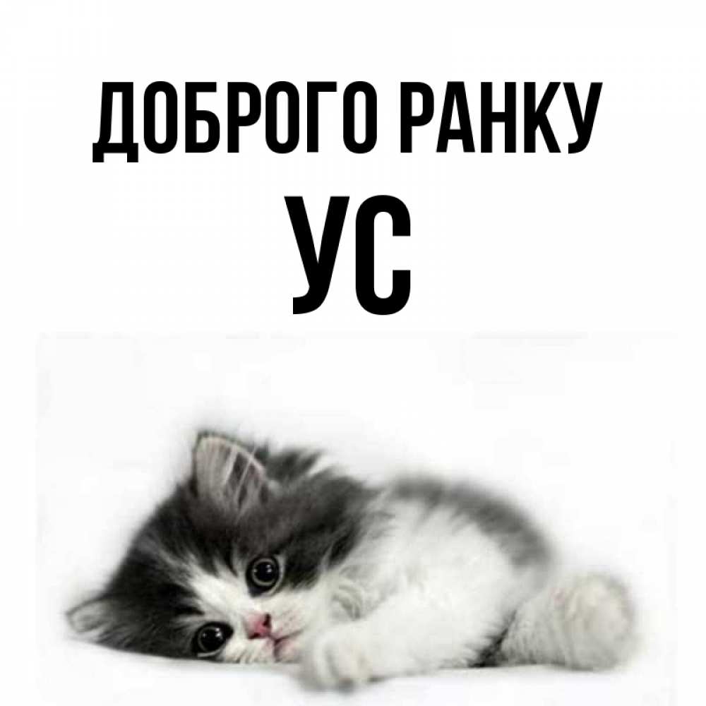 Открытка на каждый день з підписом, Ус Доброго ранку кот лапки Прикольна листівка з побажанням онлайн скачати безкоштовно 