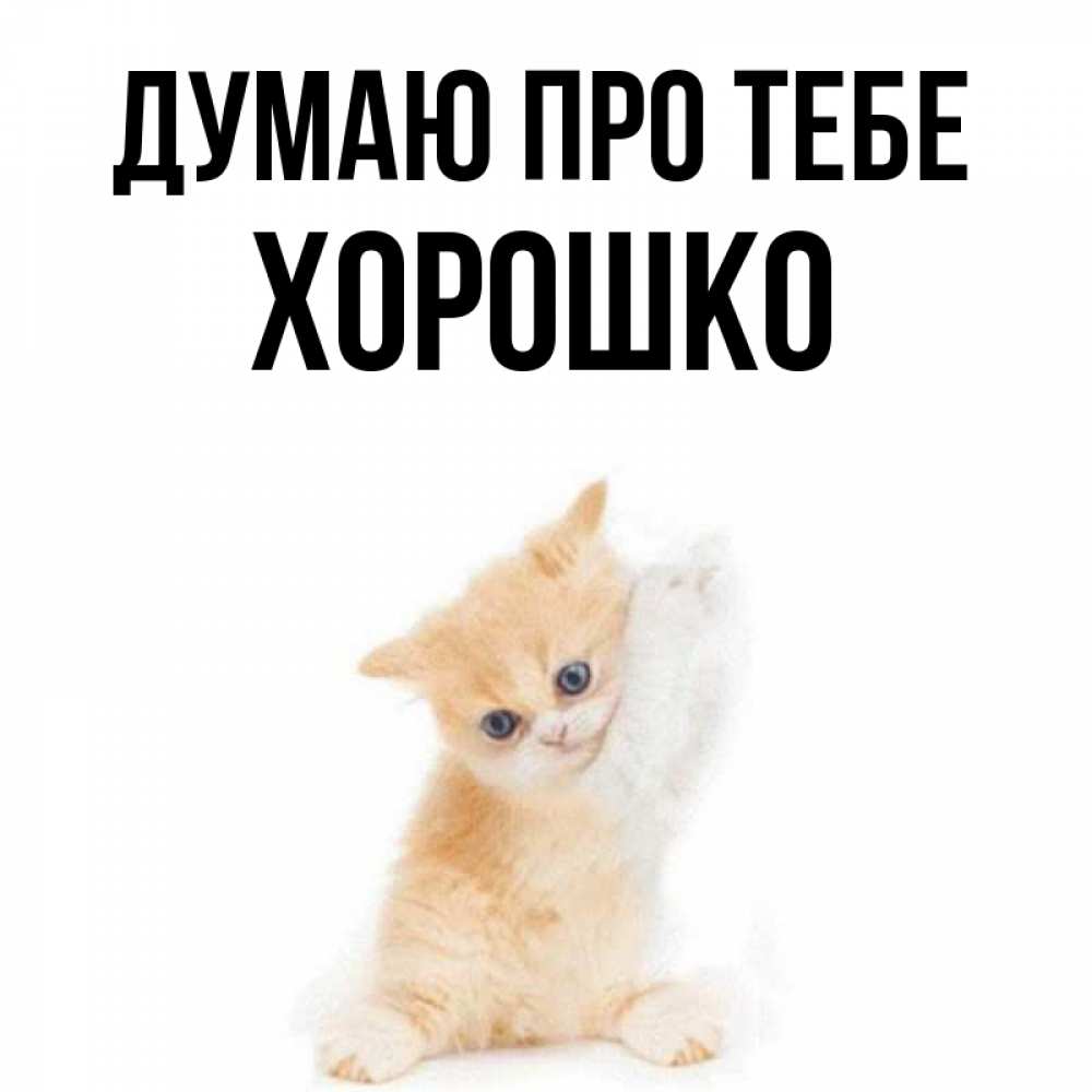 Открытка на каждый день з підписом, Хорошко Думаю про тебе зверушки и милота Прикольна листівка з побажанням онлайн скачати безкоштовно 