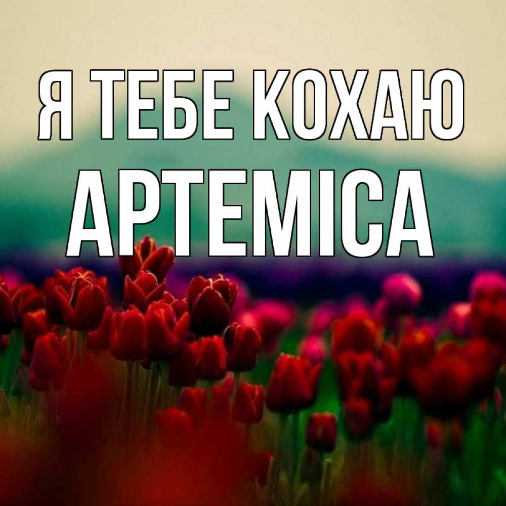 Открытка на каждый день з підписом, Артеміса Я тебе кохаю тюльпаны 4 Прикольна листівка з побажанням онлайн скачати безкоштовно 