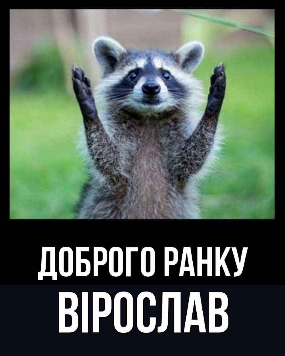 Открытка на каждый день з підписом, Вірослав Доброго ранку хорошее настроение утречком Прикольна листівка з побажанням онлайн скачати безкоштовно 