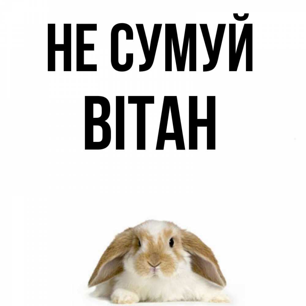 Открытка на каждый день з підписом, Вітан Не сумуй коричнево белый заяц с большими ушками Прикольна листівка з побажанням онлайн скачати безкоштовно 