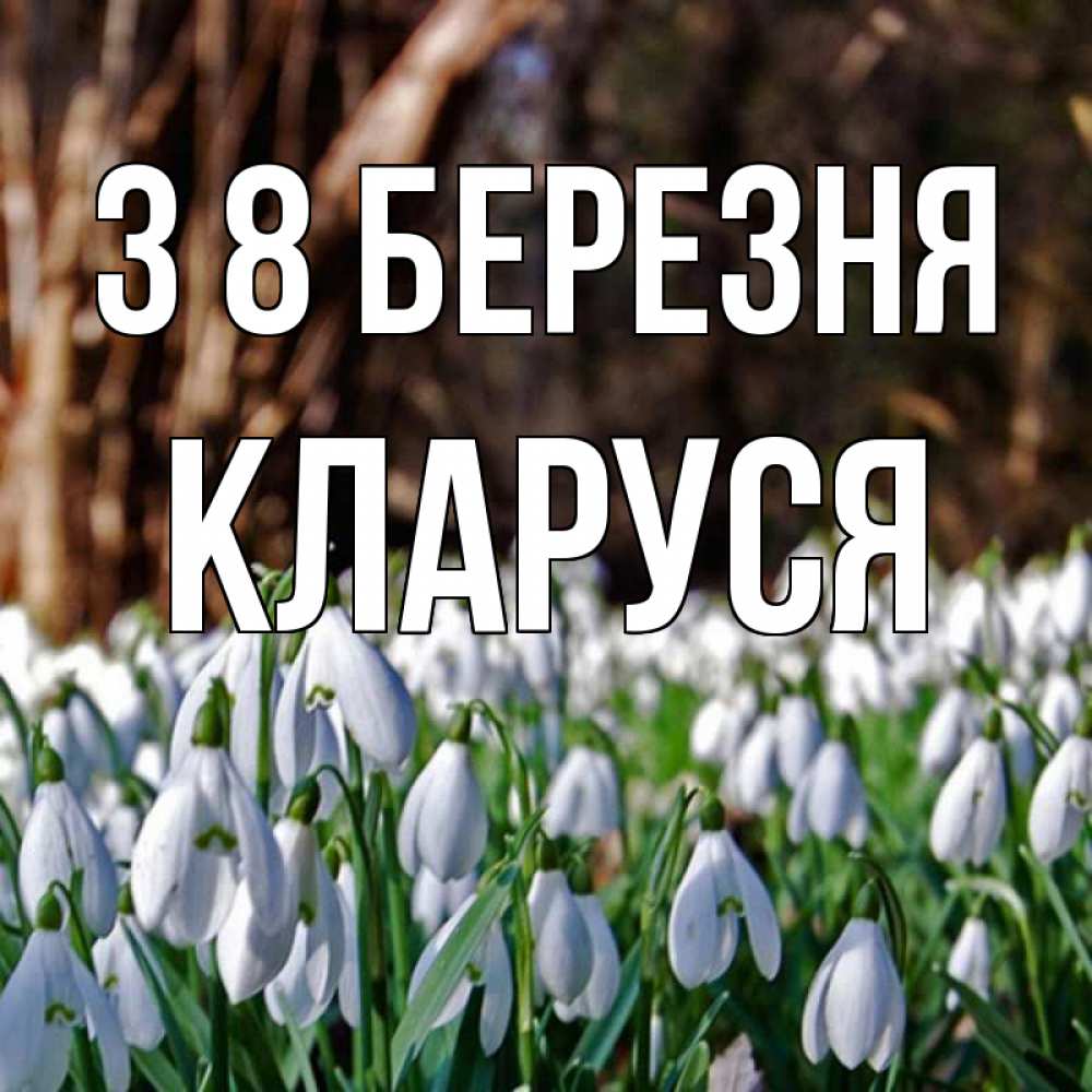 Открытка на каждый день з підписом, Кларуся З 8 БЕРЕЗНЯ с подснежниками 1 Прикольна листівка з побажанням онлайн скачати безкоштовно 