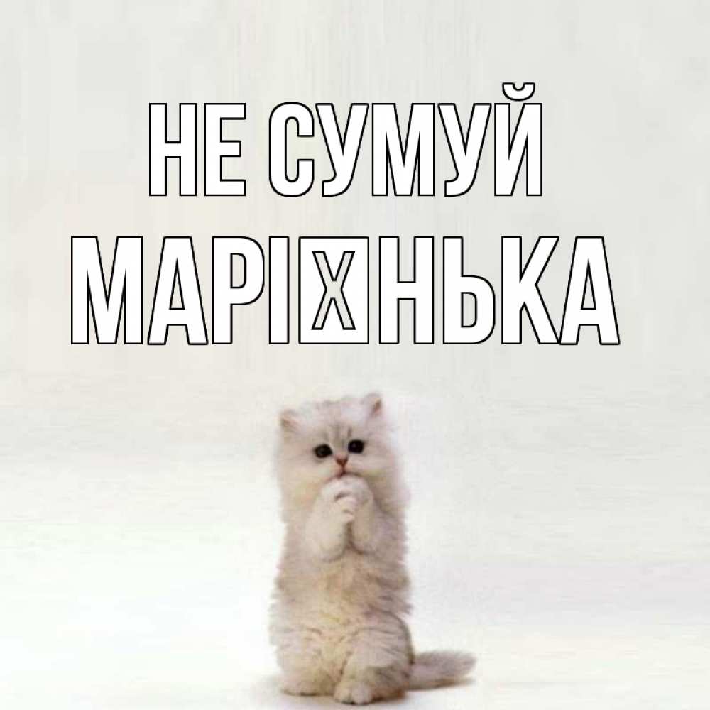 Открытка на каждый день з підписом, Марієнька Не сумуй грустный кот Прикольна листівка з побажанням онлайн скачати безкоштовно 