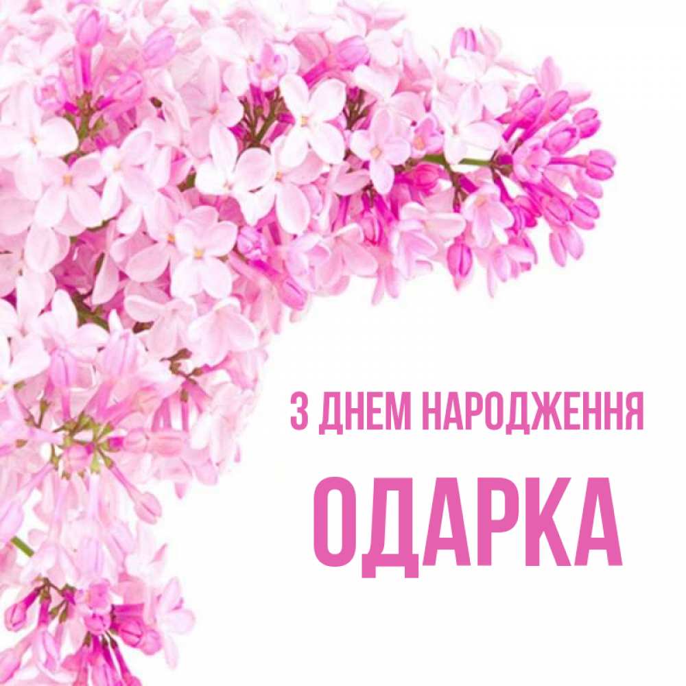 Открытка на каждый день з підписом, Одарка З Днем народження Сирень на белом фоне Прикольна листівка з побажанням онлайн скачати безкоштовно 