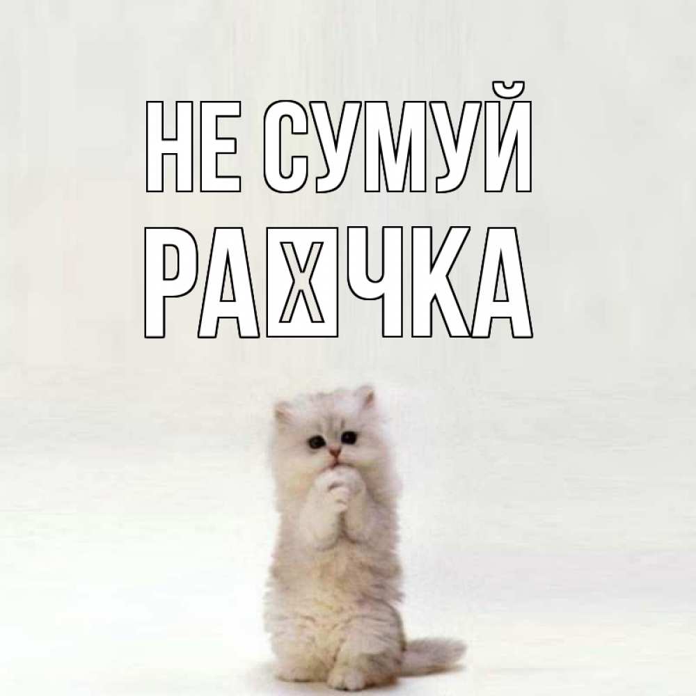 Открытка на каждый день з підписом, Раєчка Не сумуй грустный кот Прикольна листівка з побажанням онлайн скачати безкоштовно 