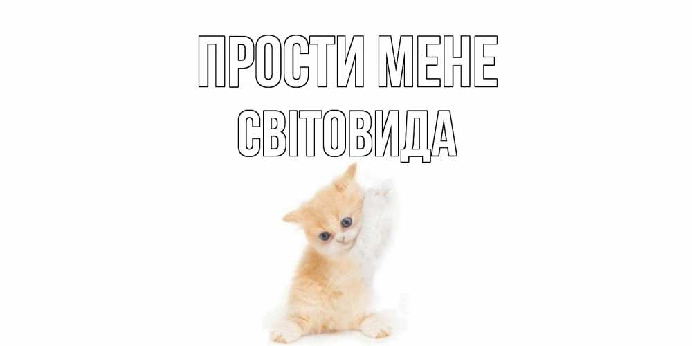 Открытка на каждый день з підписом, Світовида Прости мене кот Прикольна листівка з побажанням онлайн скачати безкоштовно 