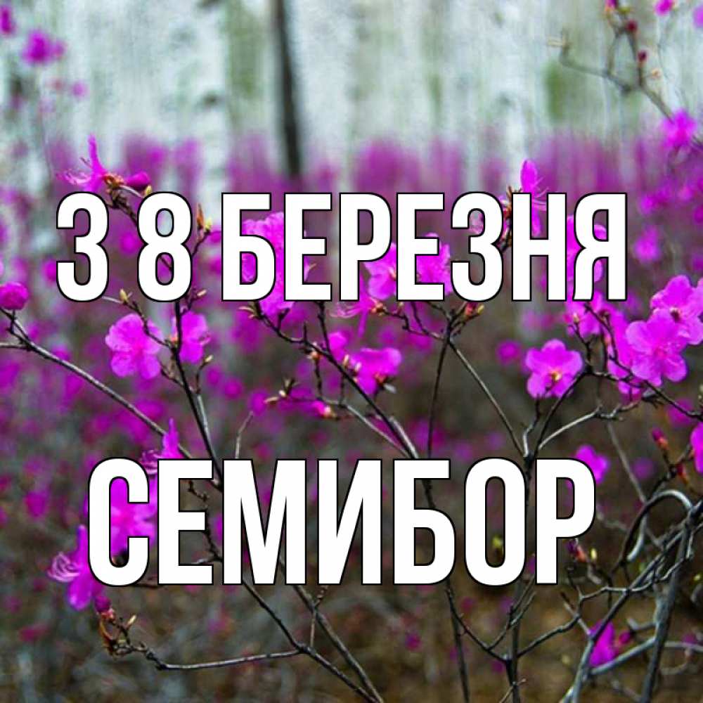 Открытка на каждый день з підписом, Семибор З 8 БЕРЕЗНЯ дикие цветы Прикольна листівка з побажанням онлайн скачати безкоштовно 