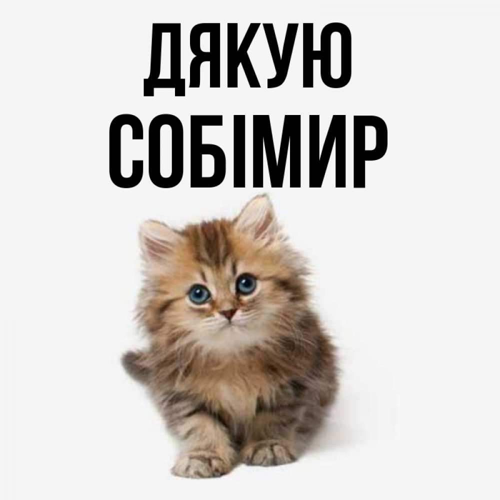 Открытка на каждый день з підписом, Собімир Дякую пушистый котик Прикольна листівка з побажанням онлайн скачати безкоштовно 