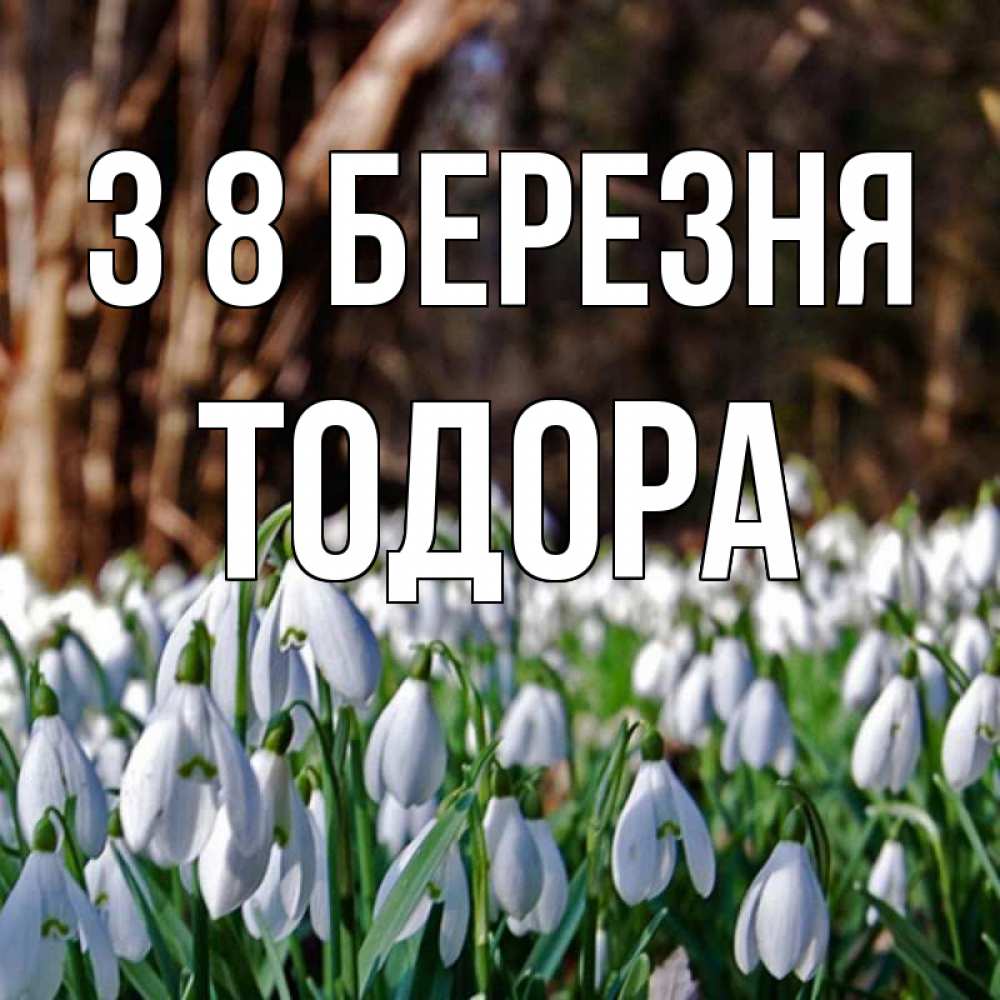 Открытка на каждый день з підписом, Тодора З 8 БЕРЕЗНЯ с подснежниками 1 Прикольна листівка з побажанням онлайн скачати безкоштовно 