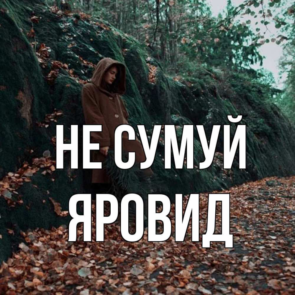 Открытка на каждый день з підписом, Яровид Не сумуй осенний лес Прикольна листівка з побажанням онлайн скачати безкоштовно 