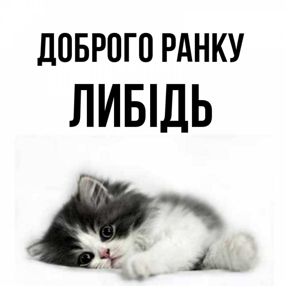 Открытка на каждый день з підписом, Либідь Доброго ранку кот лапки Прикольна листівка з побажанням онлайн скачати безкоштовно 