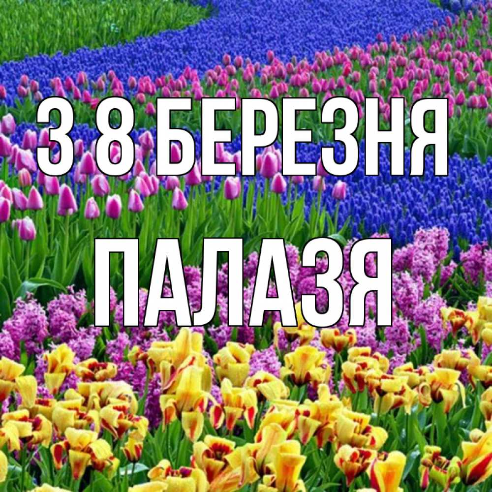 Открытка на каждый день з підписом, Палазя З 8 БЕРЕЗНЯ цветы Прикольна листівка з побажанням онлайн скачати безкоштовно 