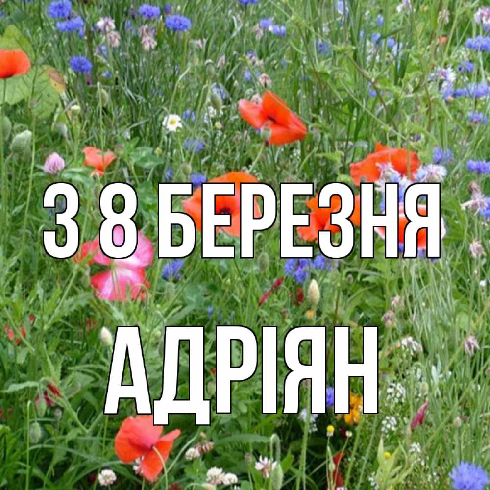Открытка на каждый день з підписом, Адріян З 8 БЕРЕЗНЯ международный женский день 4 Прикольна листівка з побажанням онлайн скачати безкоштовно 