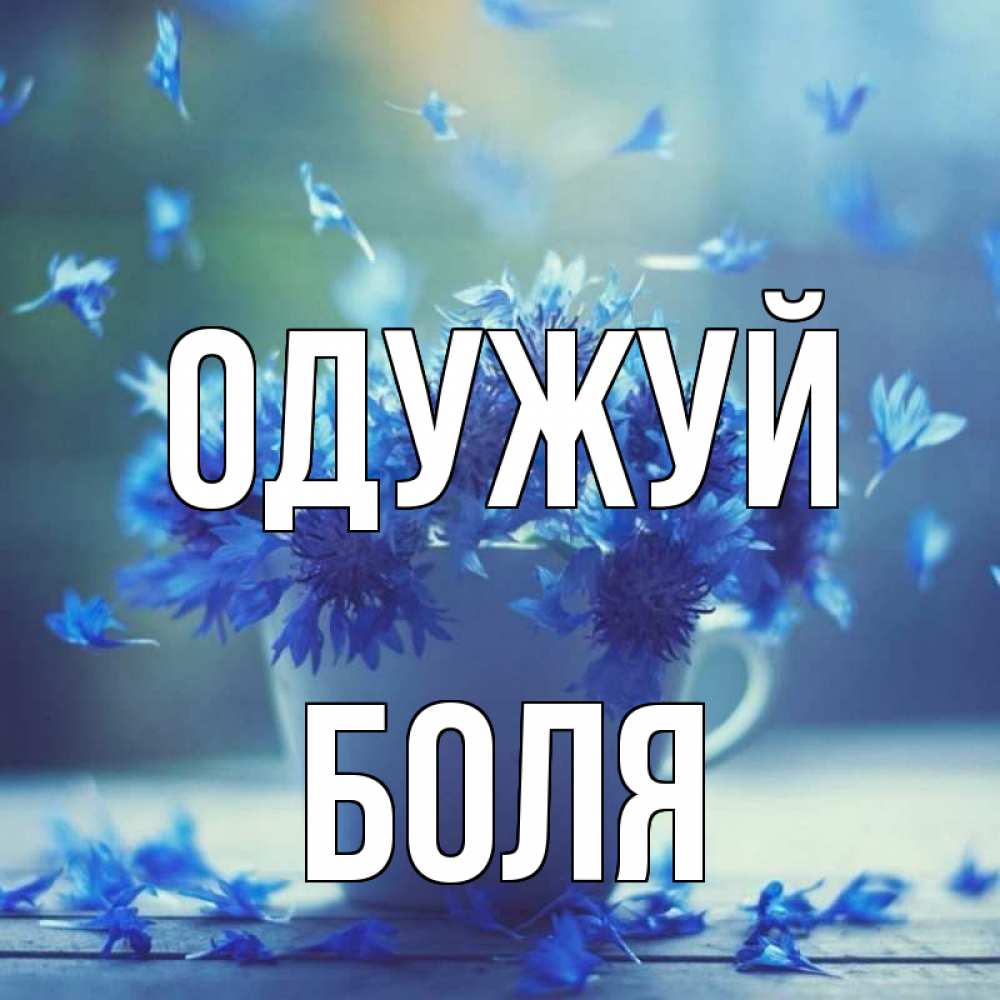 Открытка на каждый день з підписом, Боля Одужуй кружка с зельем и цветами Прикольна листівка з побажанням онлайн скачати безкоштовно 