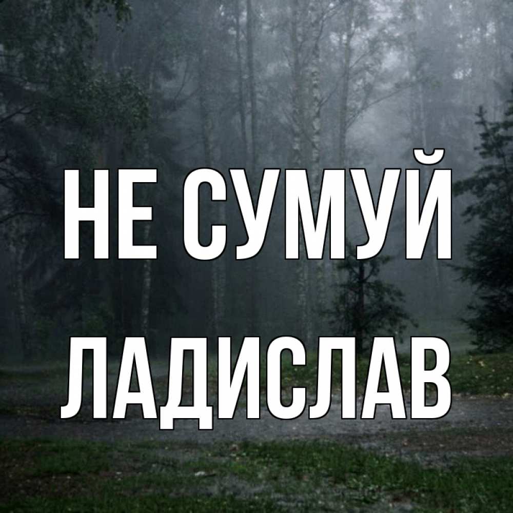 Открытка на каждый день з підписом, Ладислав Не сумуй осень Прикольна листівка з побажанням онлайн скачати безкоштовно 