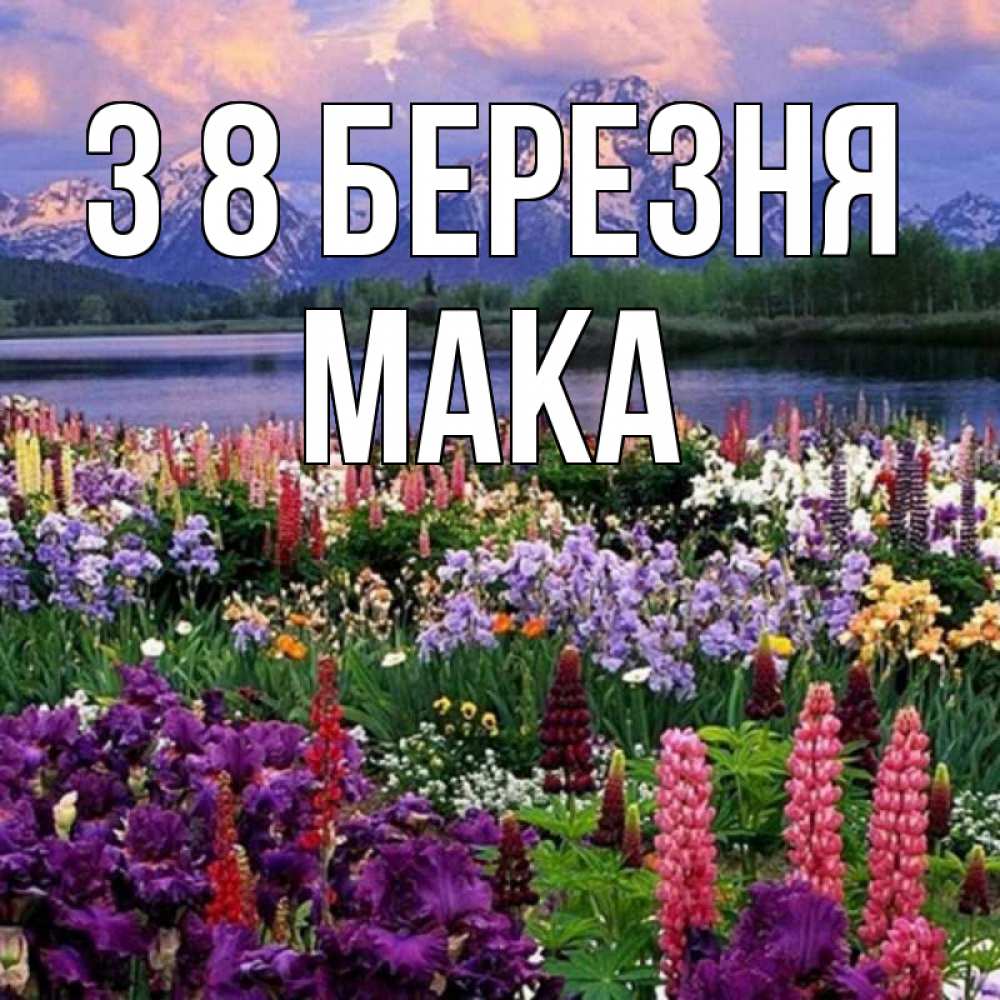 Открытка на каждый день з підписом, Мака З 8 БЕРЕЗНЯ международный женский день Прикольна листівка з побажанням онлайн скачати безкоштовно 