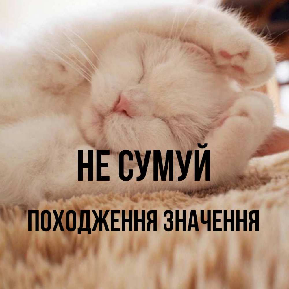 Открытка на каждый день з підписом, Походження,-значення Не сумуй Котенок спит Прикольна листівка з побажанням онлайн скачати безкоштовно 