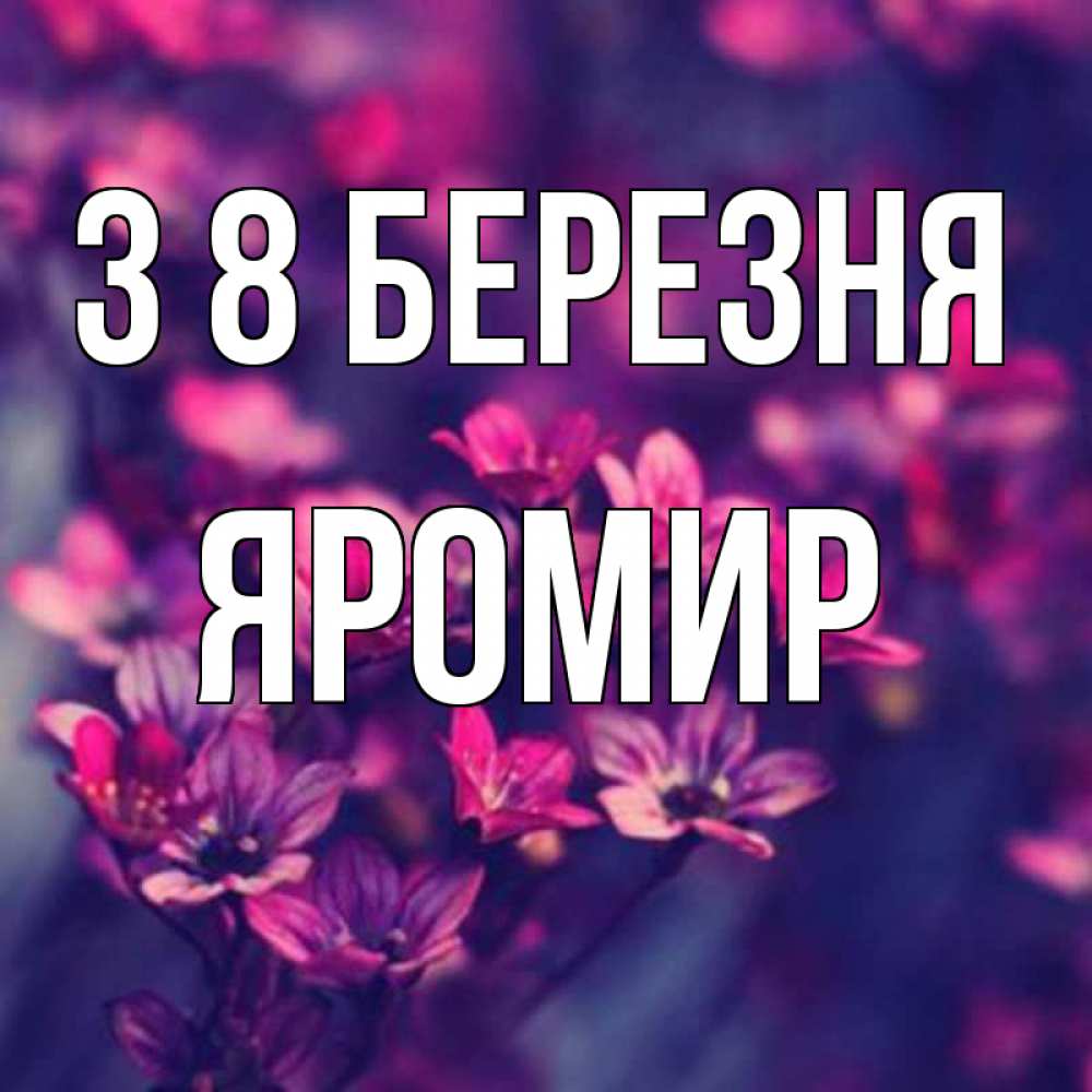 Открытка на каждый день з підписом, Яромир З 8 БЕРЕЗНЯ небольшие цветы 1 Прикольна листівка з побажанням онлайн скачати безкоштовно 