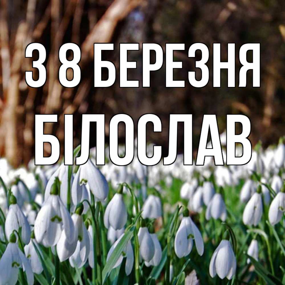 Открытка на каждый день з підписом, Білослав З 8 БЕРЕЗНЯ с подснежниками 1 Прикольна листівка з побажанням онлайн скачати безкоштовно 