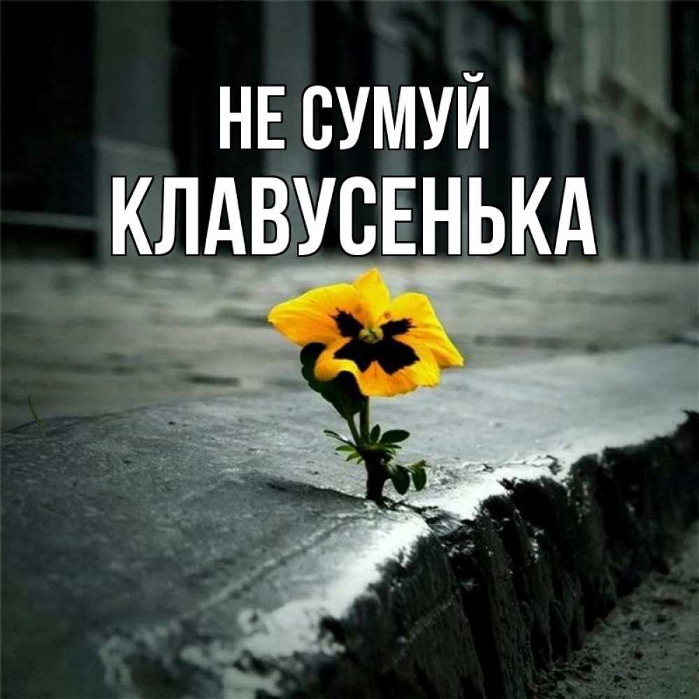 Открытка на каждый день з підписом, Клавусенька Не сумуй не сдавайся Прикольна листівка з побажанням онлайн скачати безкоштовно 