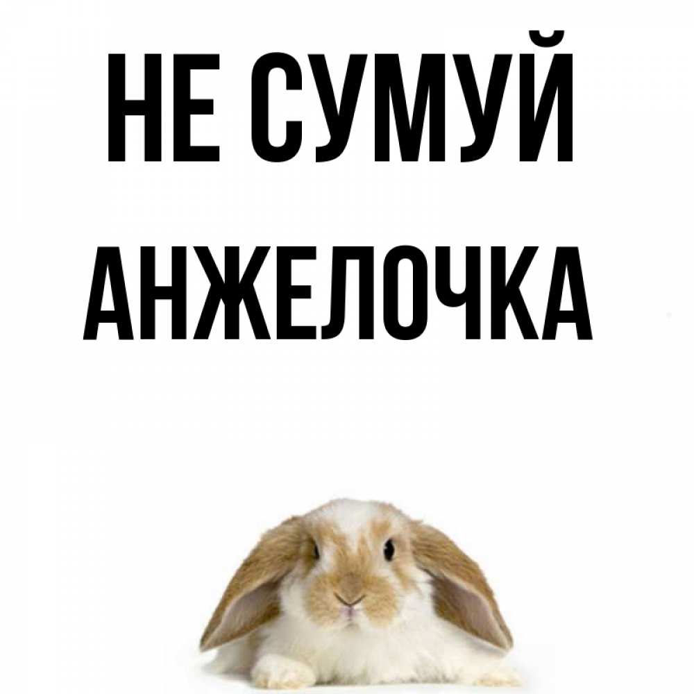 Открытка на каждый день з підписом, Анжелочка Не сумуй коричнево белый заяц с большими ушками Прикольна листівка з побажанням онлайн скачати безкоштовно 