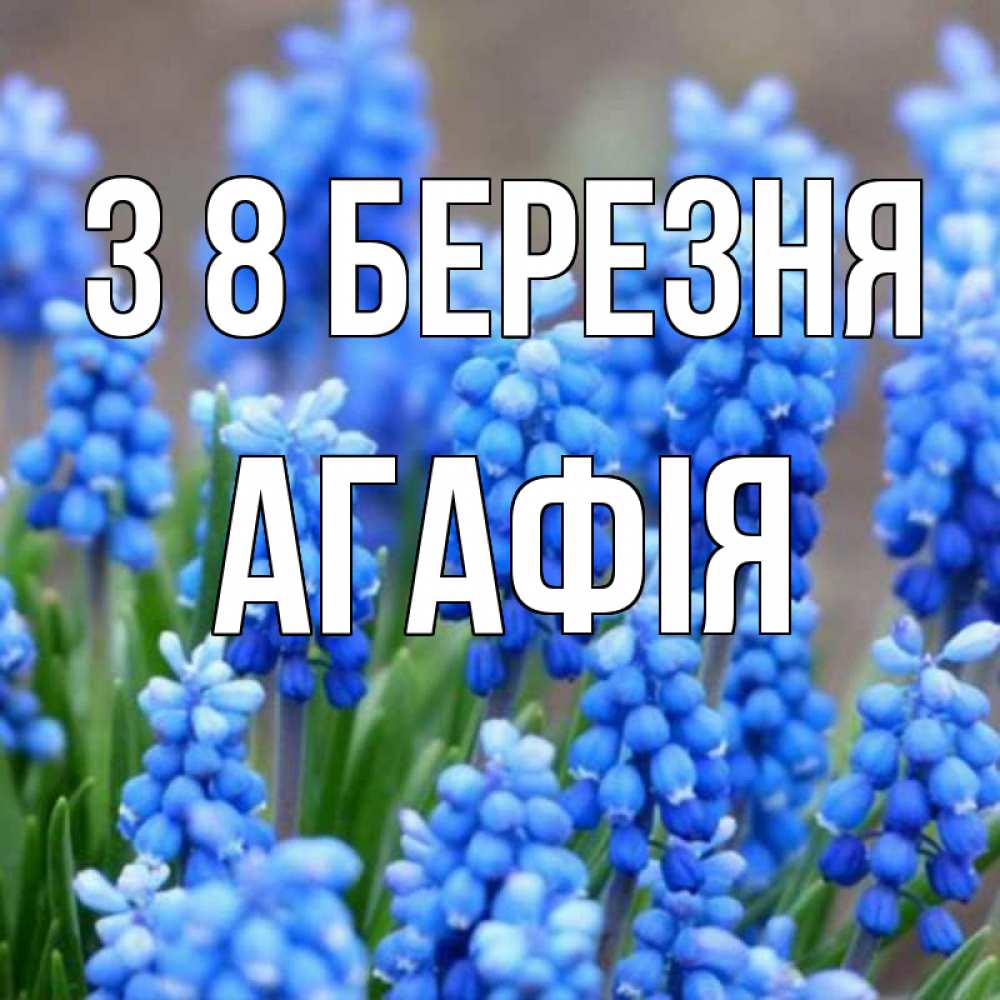 Открытка на каждый день з підписом, Агафія З 8 БЕРЕЗНЯ Поздравительная открытка для женщин с цветами на праздничную дату Прикольна листівка з побажанням онлайн скачати безкоштовно 