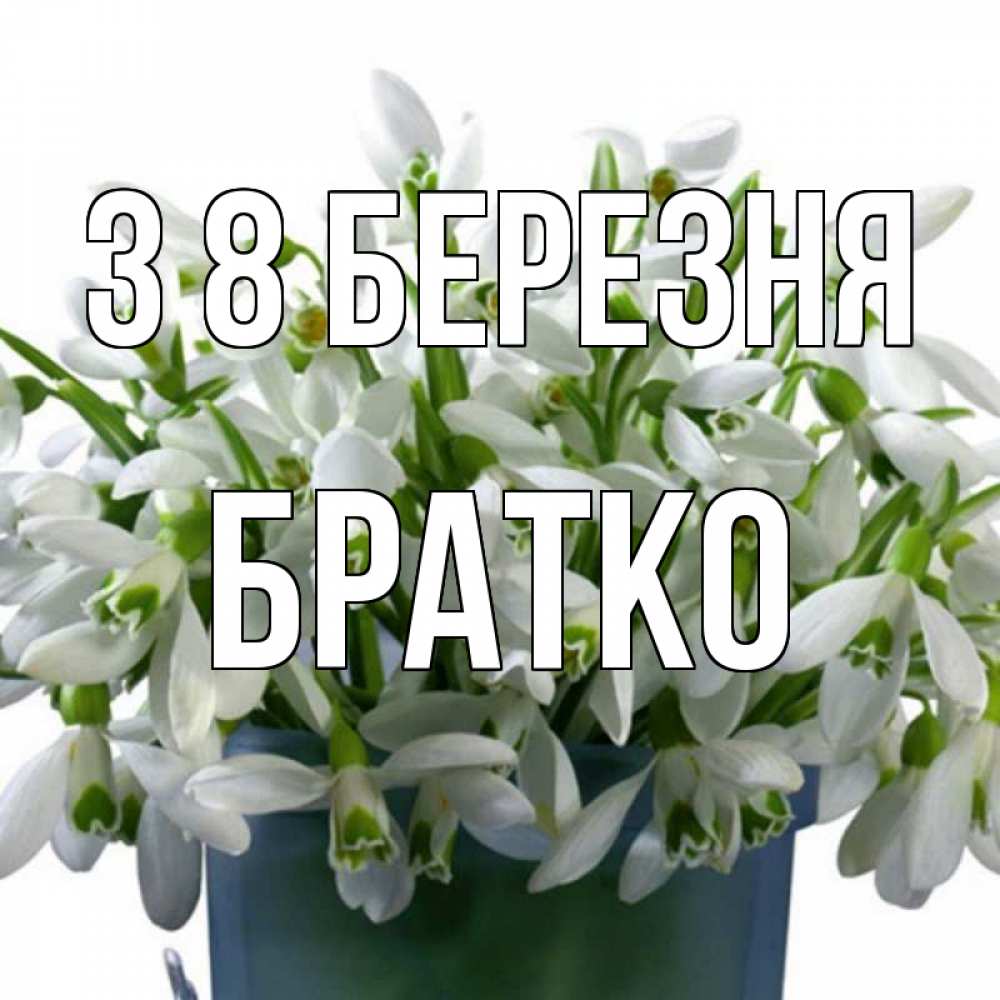 Открытка на каждый день з підписом, Братко З 8 БЕРЕЗНЯ цветы к международному женскому дню Прикольна листівка з побажанням онлайн скачати безкоштовно 
