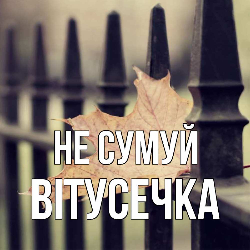 Открытка на каждый день з підписом, Вітусечка Не сумуй лист клена Прикольна листівка з побажанням онлайн скачати безкоштовно 