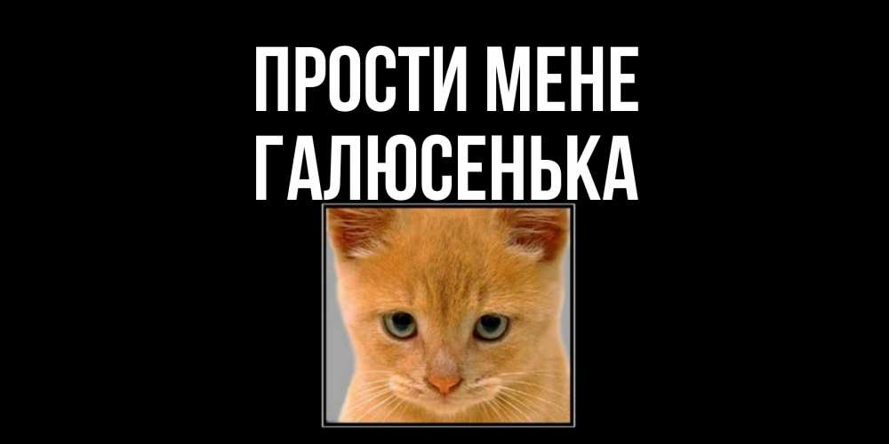 Открытка на каждый день з підписом, Галюсенька Прости мене рыжий грустный кот просит прощения Прикольна листівка з побажанням онлайн скачати безкоштовно 