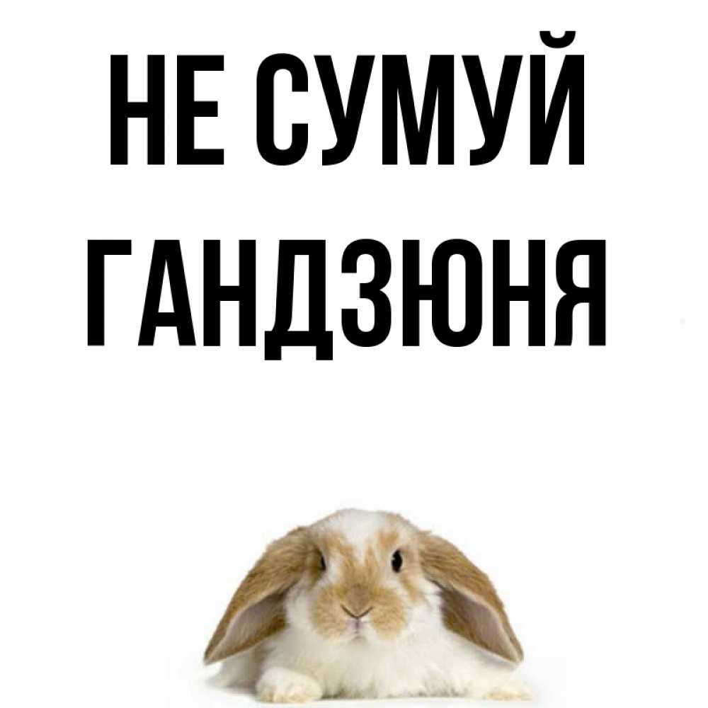 Открытка на каждый день з підписом, Гандзюня Не сумуй коричнево белый заяц с большими ушками Прикольна листівка з побажанням онлайн скачати безкоштовно 