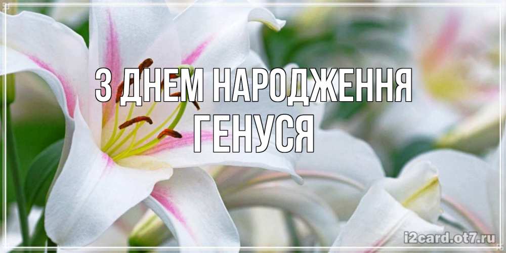 Открытка на каждый день з підписом, Генуся З Днем народження открытка с белой лилией Прикольна листівка з побажанням онлайн скачати безкоштовно 