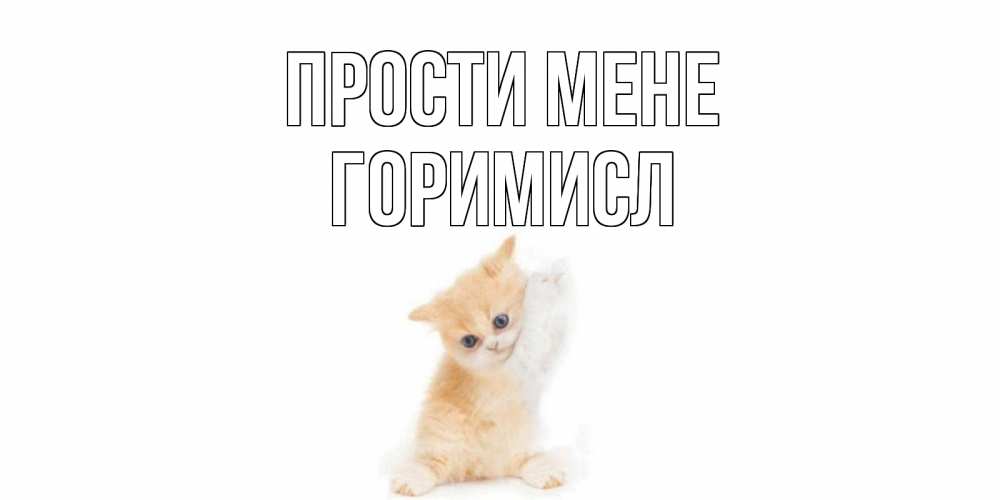 Открытка на каждый день з підписом, Горимисл Прости мене кот Прикольна листівка з побажанням онлайн скачати безкоштовно 