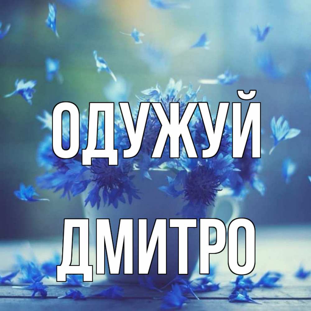 Открытка на каждый день з підписом, Дмитро Одужуй кружка с зельем и цветами Прикольна листівка з побажанням онлайн скачати безкоштовно 