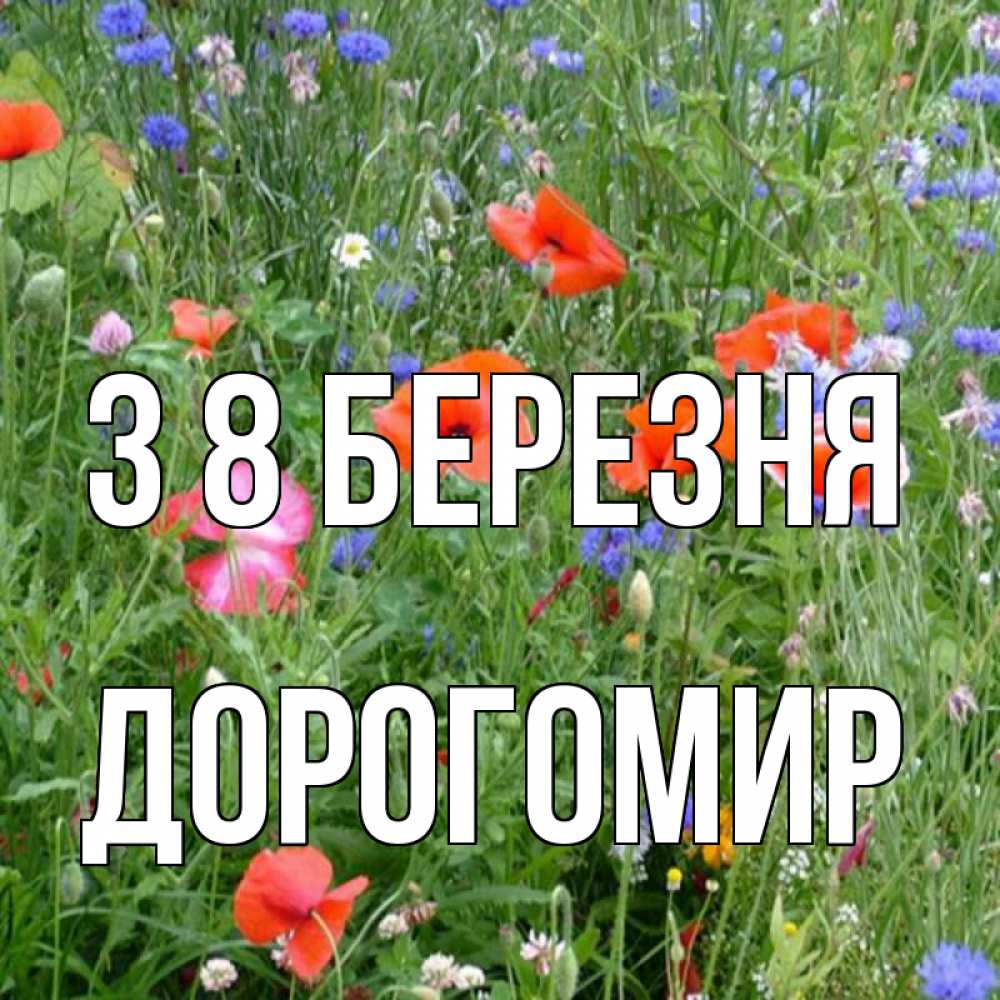 Открытка на каждый день з підписом, Дорогомир З 8 БЕРЕЗНЯ международный женский день 4 Прикольна листівка з побажанням онлайн скачати безкоштовно 