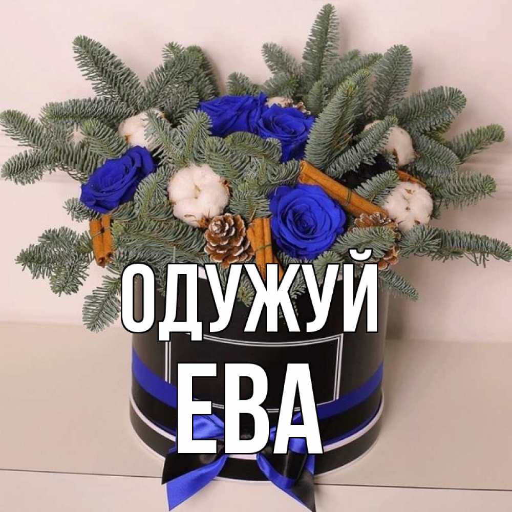 Открытка на каждый день з підписом, Ева Одужуй короче кто то загрузил эти шишки Прикольна листівка з побажанням онлайн скачати безкоштовно 