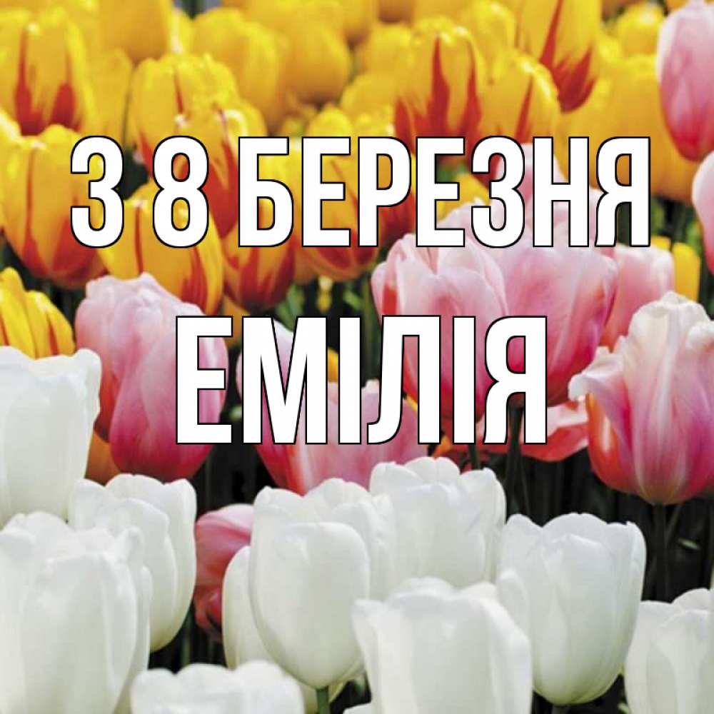 Открытка на каждый день з підписом, Емілія З 8 БЕРЕЗНЯ разноцветные цветы Прикольна листівка з побажанням онлайн скачати безкоштовно 
