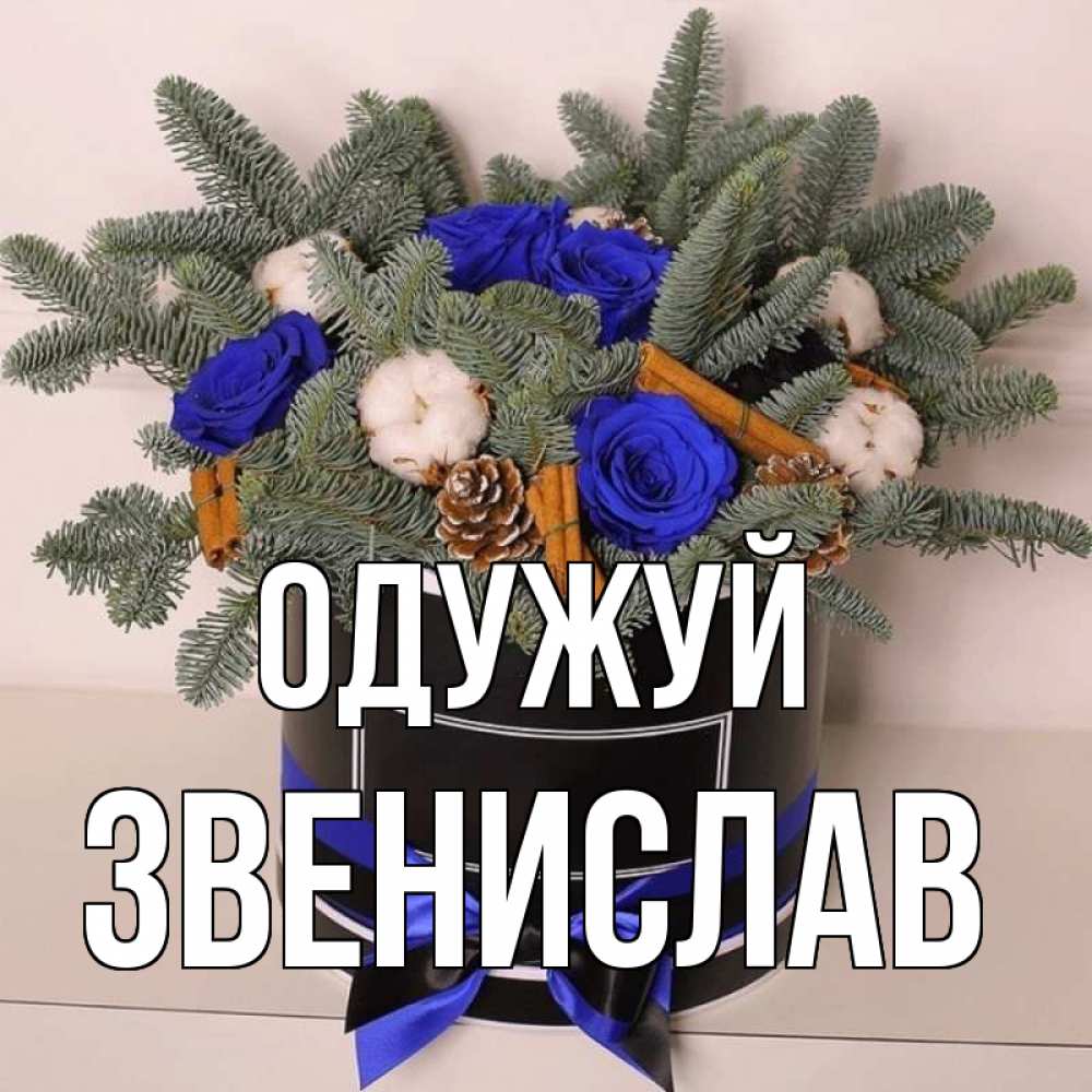 Открытка на каждый день з підписом, Звенислав Одужуй короче кто то загрузил эти шишки Прикольна листівка з побажанням онлайн скачати безкоштовно 