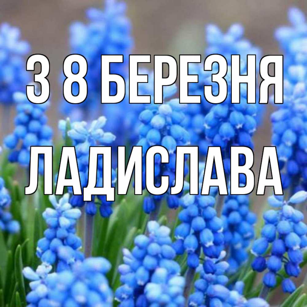 Открытка на каждый день з підписом, Ладислава З 8 БЕРЕЗНЯ Поздравительная открытка для женщин с цветами на праздничную дату Прикольна листівка з побажанням онлайн скачати безкоштовно 